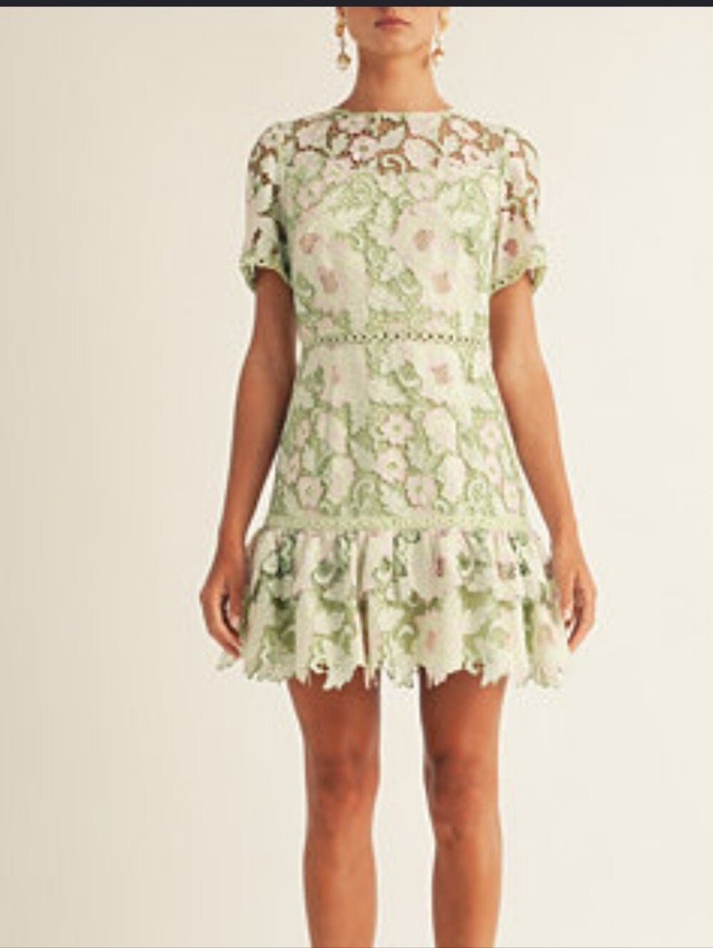 A Rose Studio NWT XL Sage Pink Floral Lace Mini Dress MSRP $234